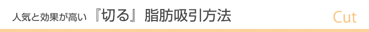 人気と効果が高い切る脂肪吸引方法