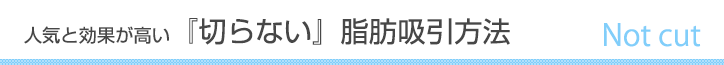 人気と効果が高い切らない脂肪吸引方法